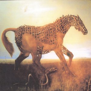 驚く馬