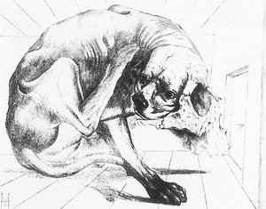 輪廻−犬